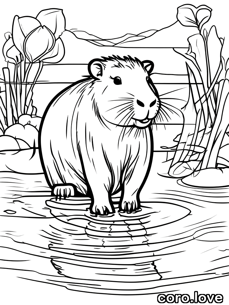 Capybara coloring page - Happy Capybara