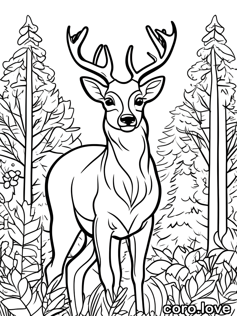 deer coloring page - Cute Deer