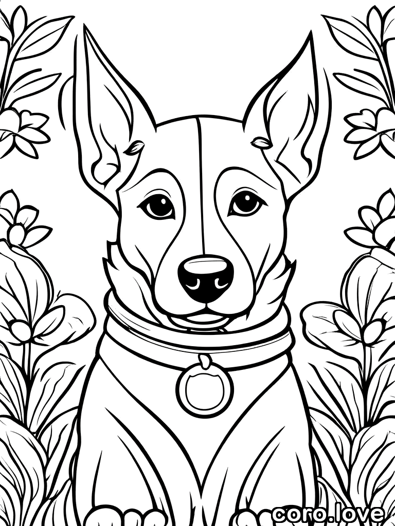Dog coloring page - Dog