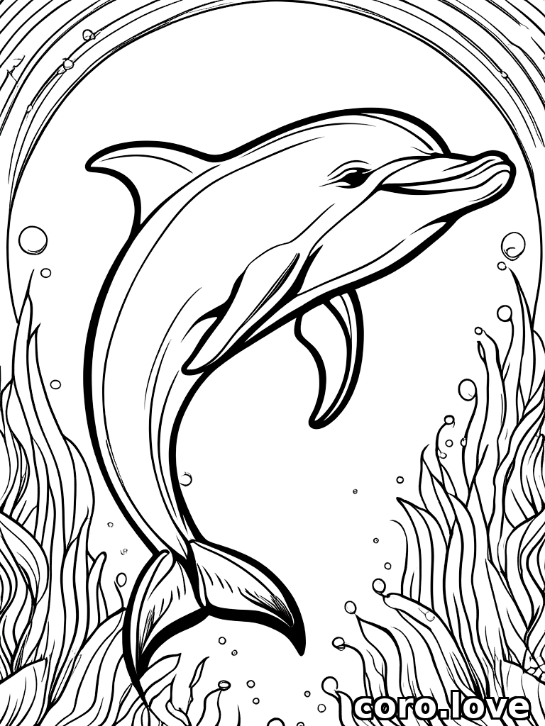 dolphin coloring page - Dolphin