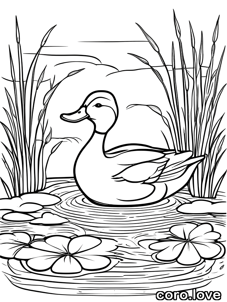 duck coloring page - Duck