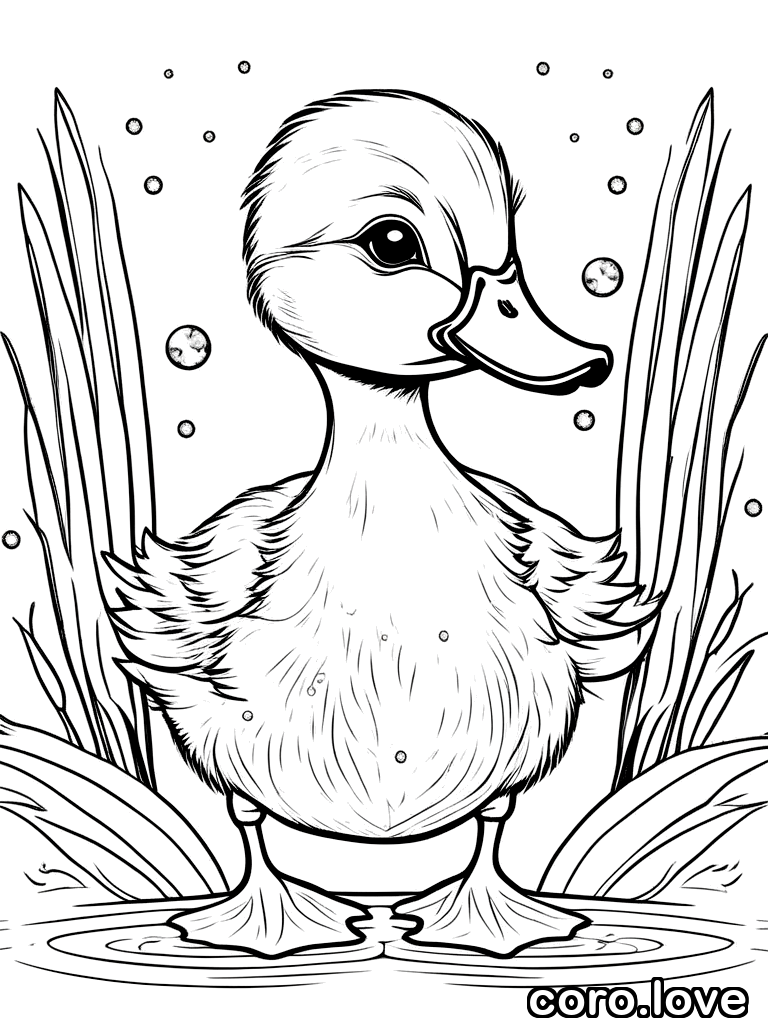 duck coloring page - Cute Duck