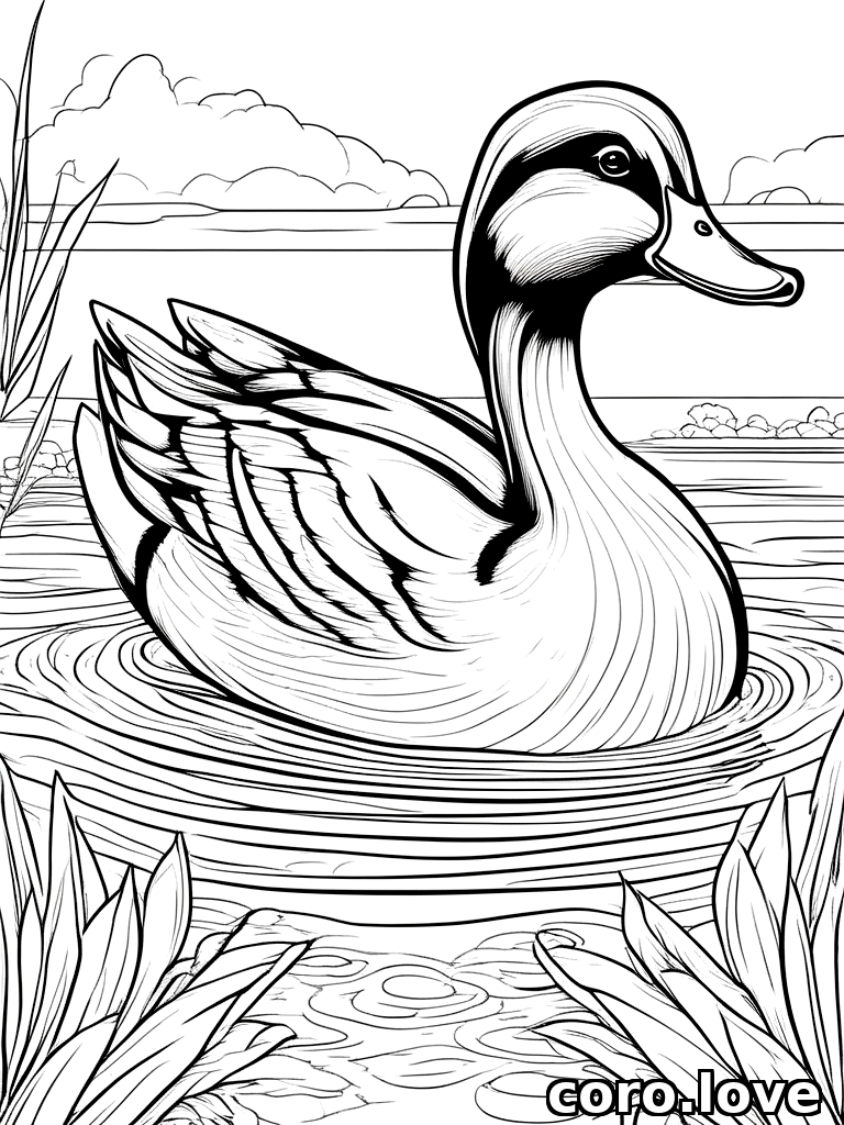 duck coloring page - Duck