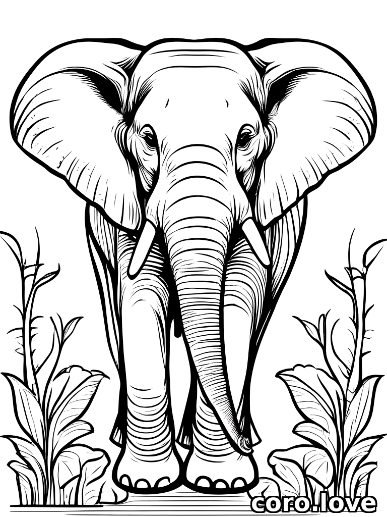 elephant coloring page - Elephant