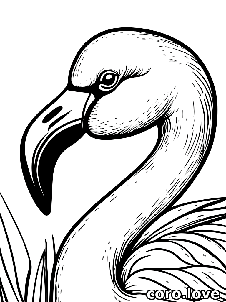 flamingo coloring page - Cute Flamingo