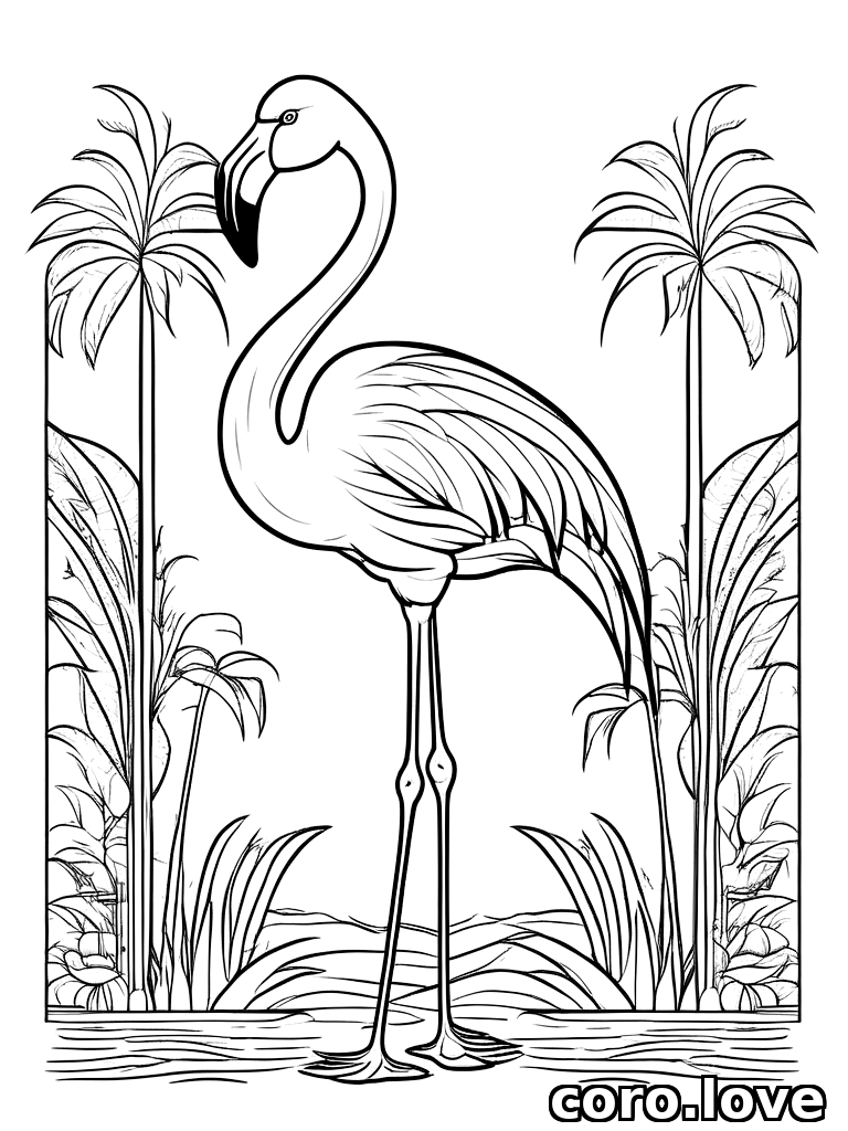flamingo coloring page - Flamingo