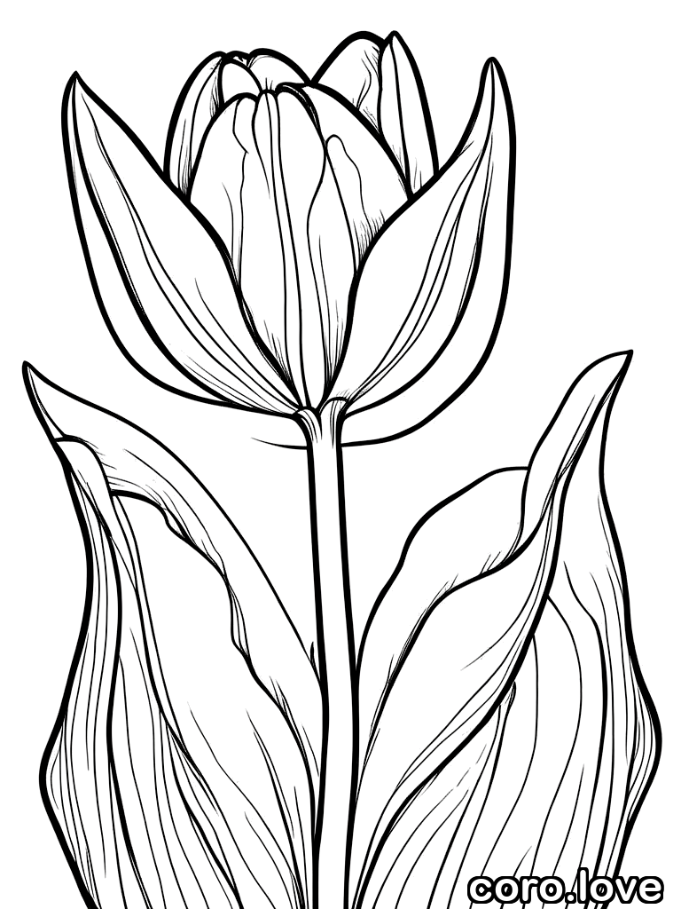 flower coloring page - Flower