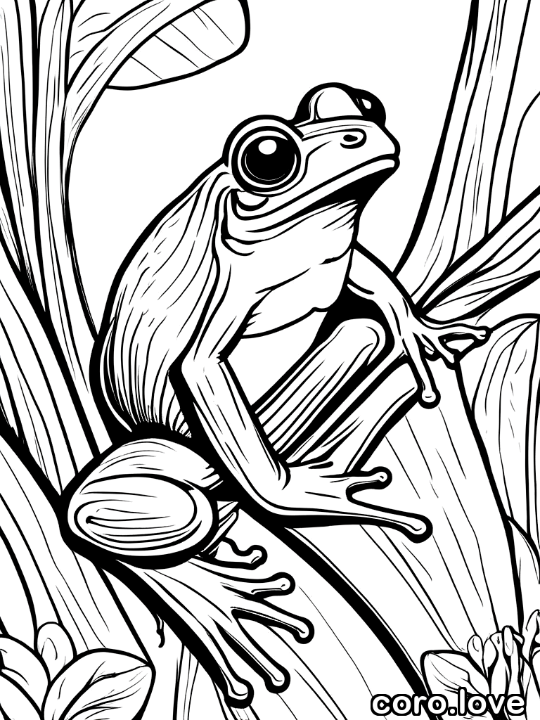 tree frog, ColoringBookAF, coloring book, isolated on white, simple minimal design, no decorations, no borders