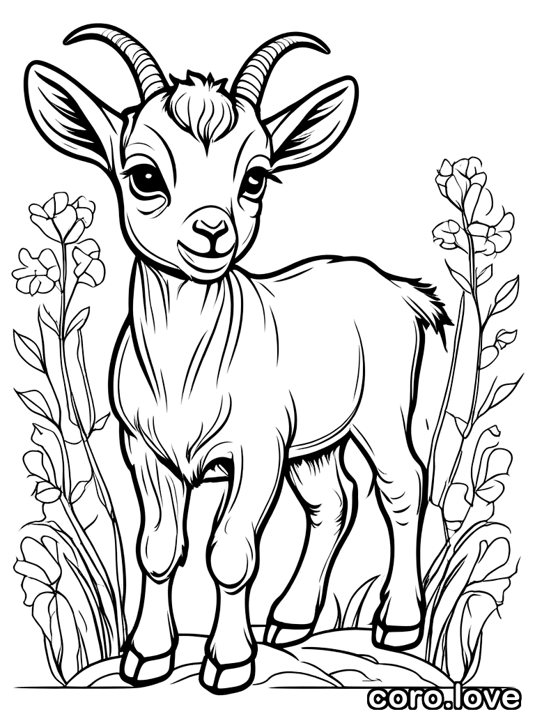 goat coloring page - Baby Goat