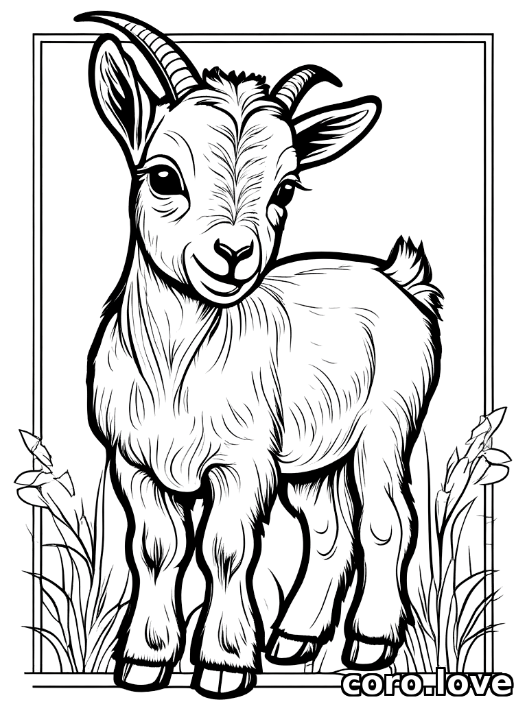 goat coloring page - Baby Goat