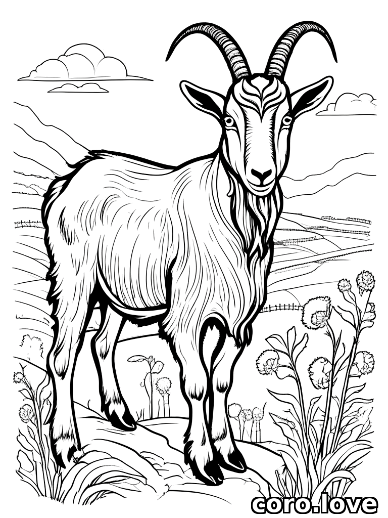 goat coloring page - Goat