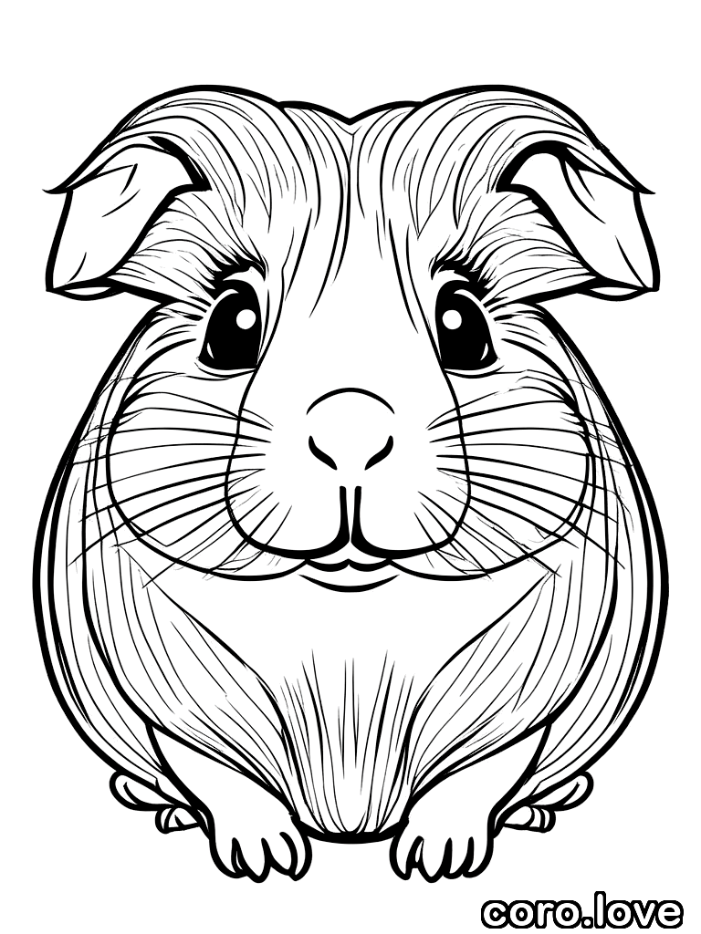 guinea_pig coloring page - Cute Guinea Pig