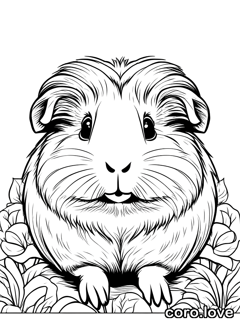 guinea_pig coloring page - Fluffy Guinea Pig