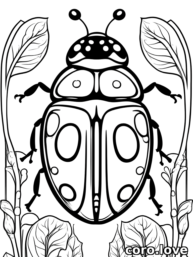 ladybug coloring page - Ladybug