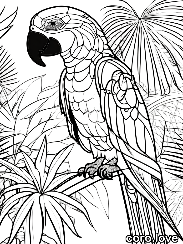 parrot coloring page - Sweet Parrot
