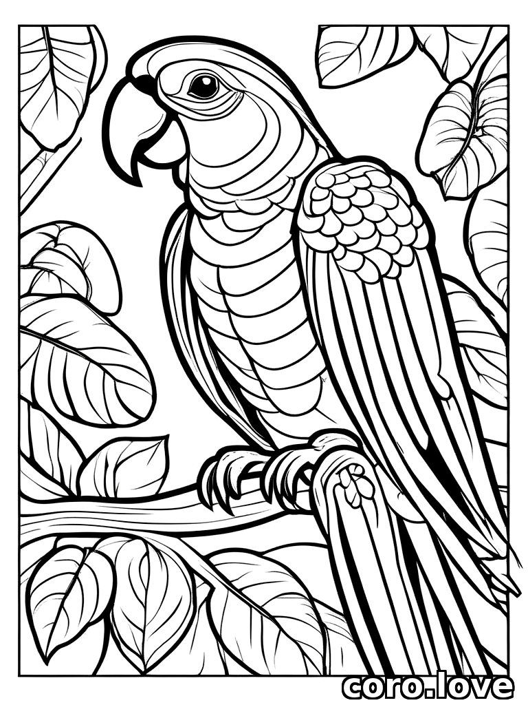 parrot coloring page - Parrot