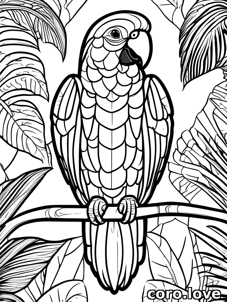 parrot coloring page - Parrot