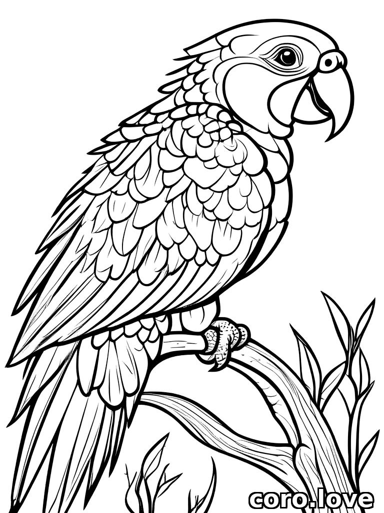 parrot coloring page - Parrot