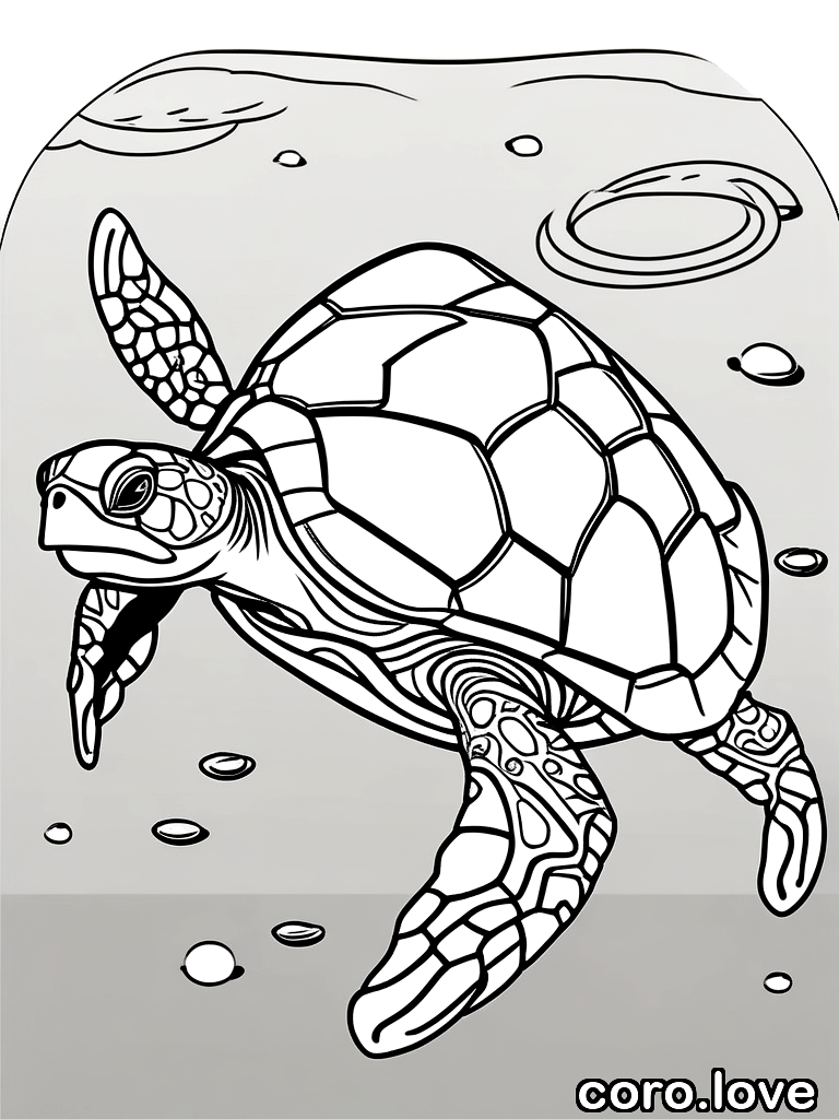 turtle coloring page - Cute Turtle