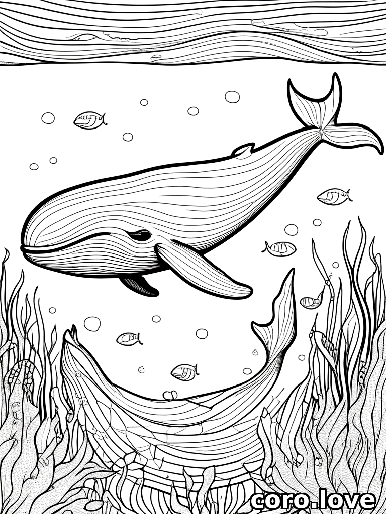 whale coloring page - Whale