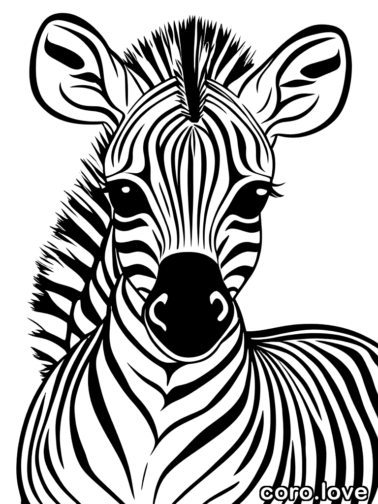 zebra coloring page - Baby Zebra